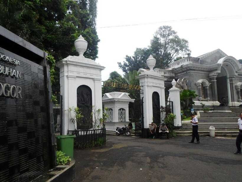 From Bandung: Tea Plantation and Botanical Garden Tour - Bogor Botanical Garden, founded in 1817