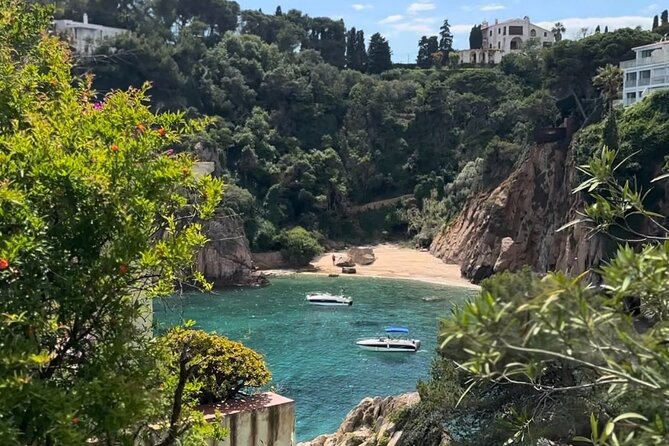 From Barcelona: Wine Tasting & Tapas + MARIMURTRA Garden + Blanes - Two and a half hours to explore Blanes