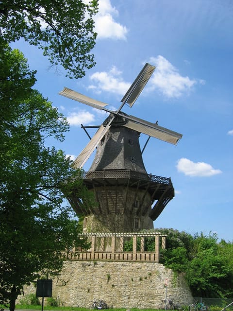 From Berlin: Gardens & Palaces of Potsdam Bike Tour - Sanssouci and the Hohenzollern royal world