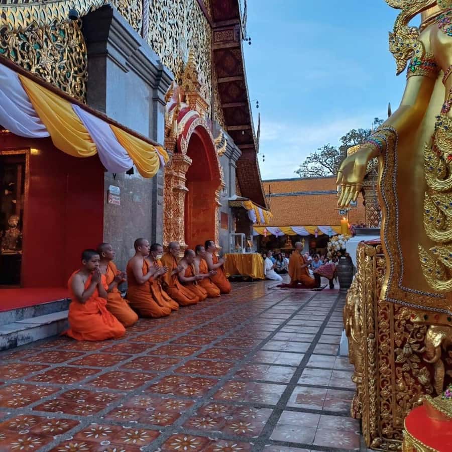 From Chiang Mai: Temples, Sticky Waterfall, and Orchid Farm - Should you book it?
