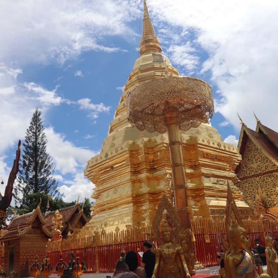 From Chiang Mai: Temples, Sticky Waterfall, and Orchid Farm - A full day from Chiang Mai to the limestone falls