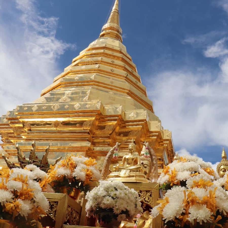 From Chiang Mai: Temples, Sticky Waterfall, and Orchid Farm - Doi Suthep and the Golden Pagoda