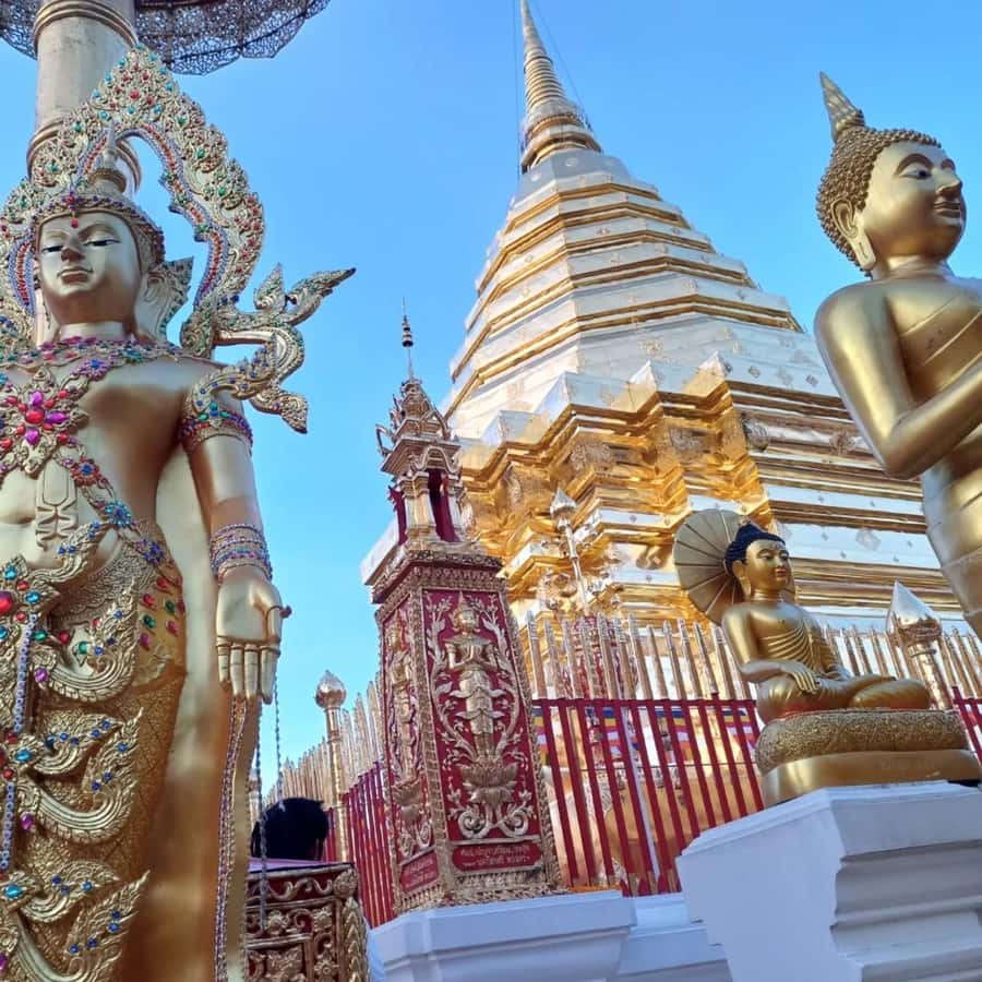 From Chiang Mai: Temples, Sticky Waterfall, and Orchid Farm - Bua Tong Sticky Waterfall and the active finish