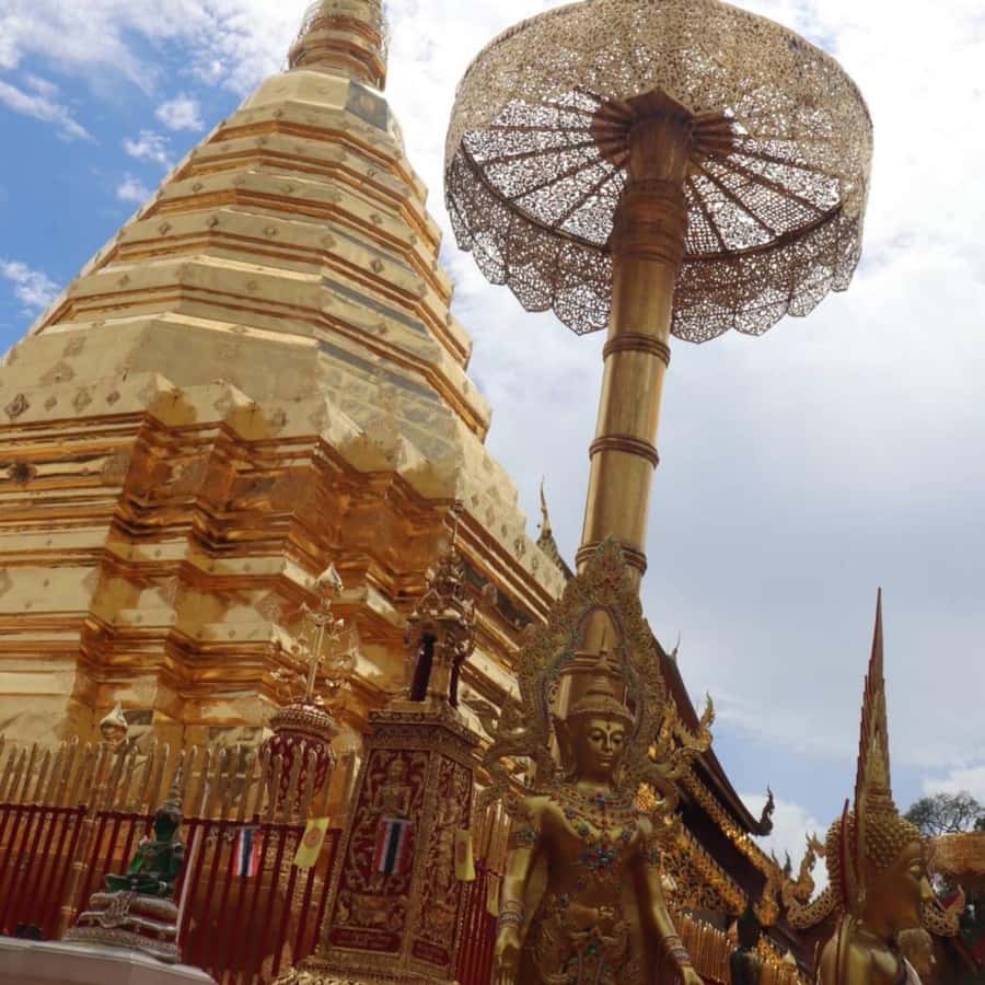 From Chiang Mai: Temples, Sticky Waterfall, and Orchid Farm - Guides, vehicles, and the pace of the day