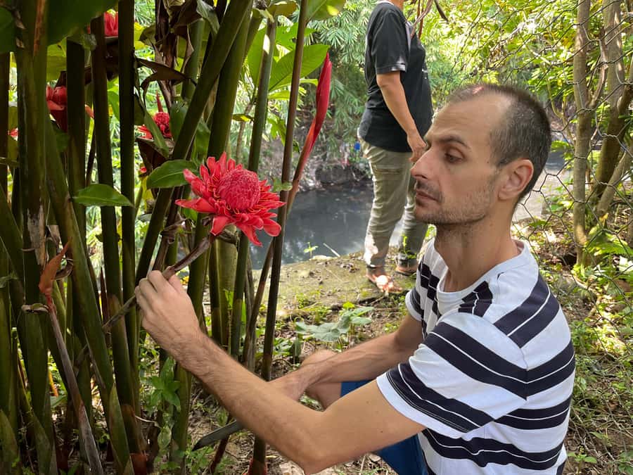 From Garden to Table: Indonesian Cooking Class in Yogyakarta - Key points at a glance