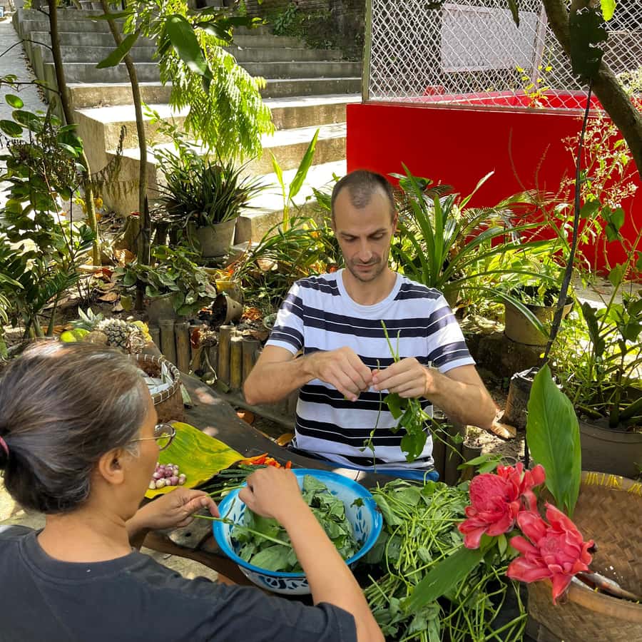From Garden to Table: Indonesian Cooking Class in Yogyakarta - Who will enjoy this Yogyakarta cooking class?