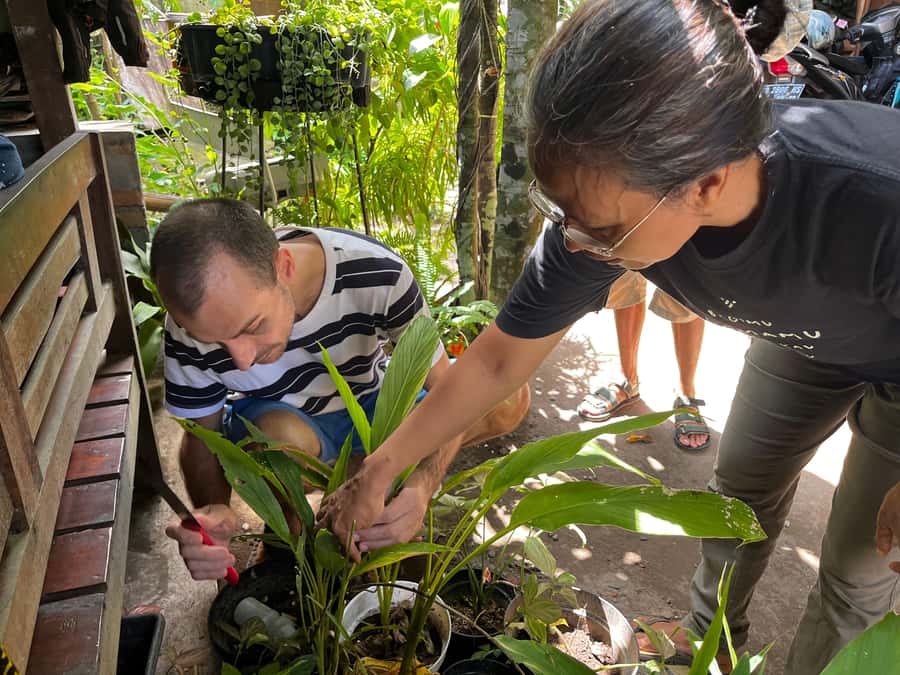From Garden to Table: Indonesian Cooking Class in Yogyakarta - A five-hour introduction to Javanese food