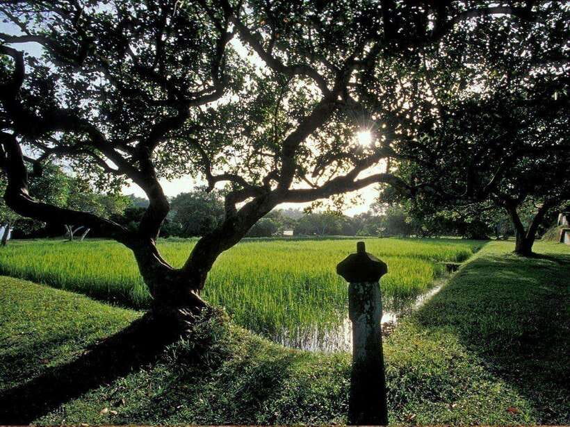 From Kalutara/Waskaduwa: Lunuganga & Brief Garden Tour - Brief Garden at about 9:00