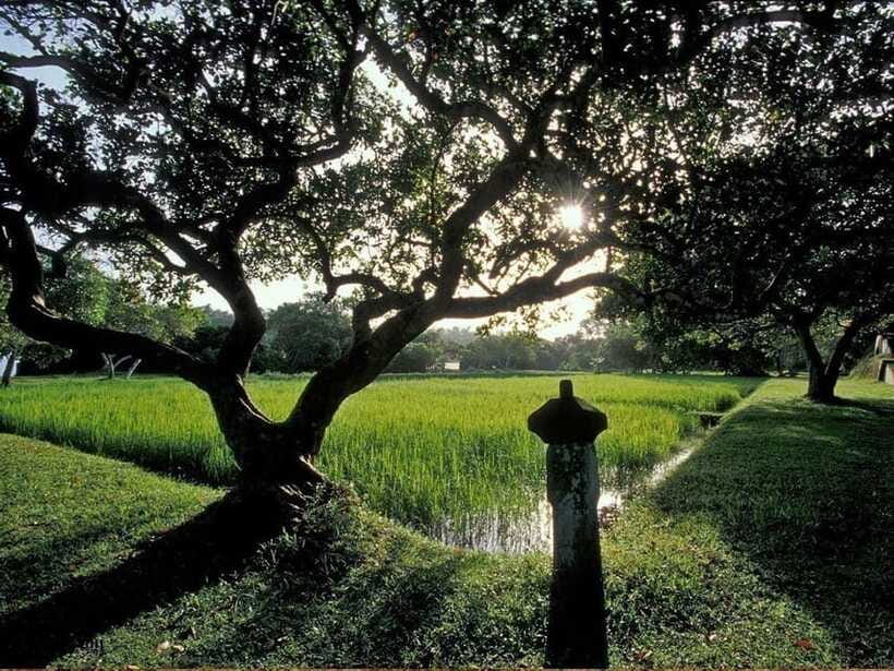 From Kalutara/Waskaduwa: Lunuganga & Brief Garden Tour - What the Bawa connection adds