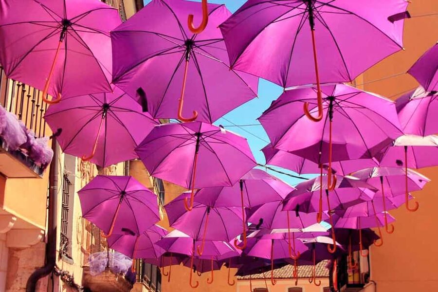 From Madrid: Day Trip to Brihuega Lavender Fields - Key things to know before you book