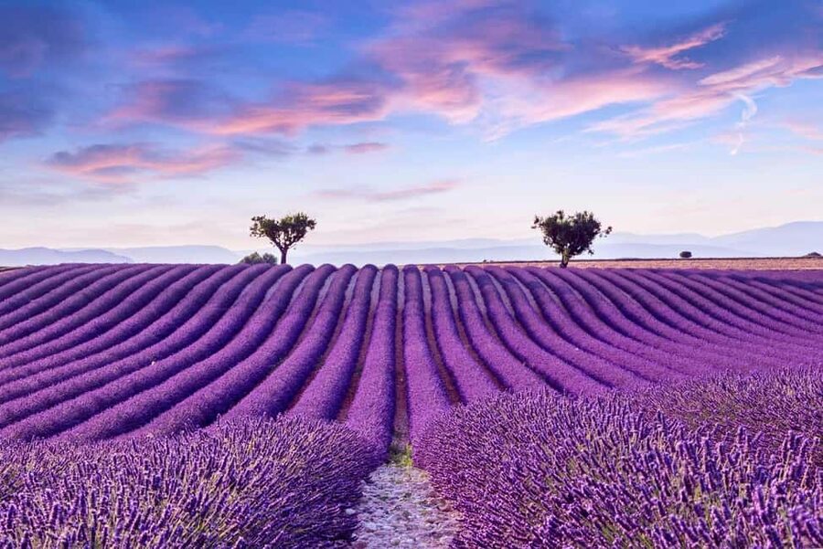From Madrid: Day Trip to Brihuega Lavender Fields - Leaving Madrid for Brihuega’s July countryside