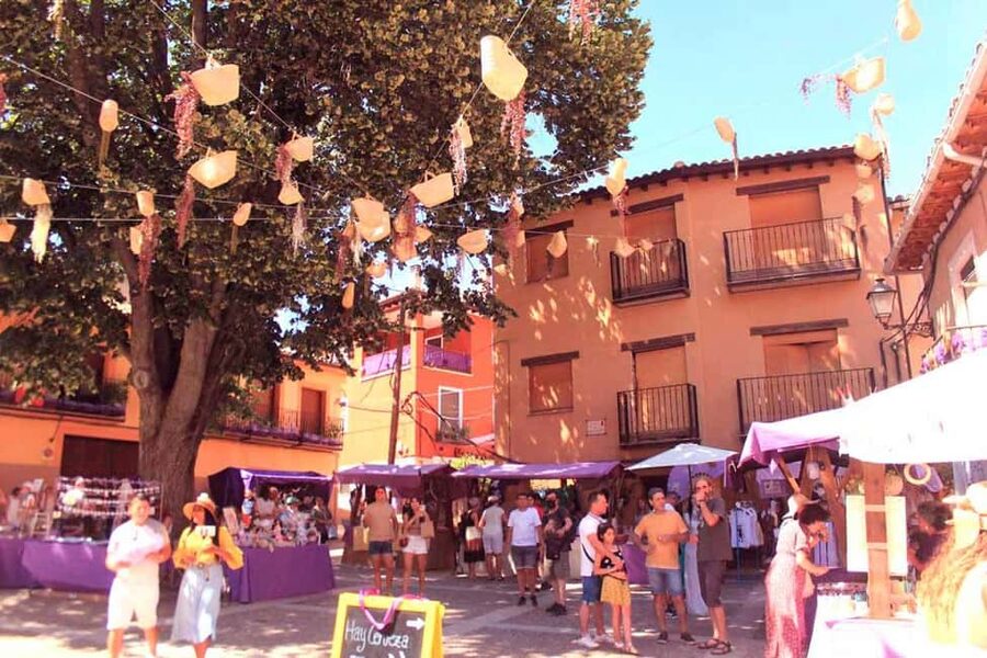 From Madrid: Day Trip to Brihuega Lavender Fields - Brihuega, where medieval walls meet lavender shops