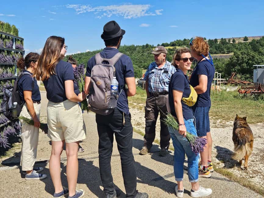 From Marseille: Lavender Full-Day Trip to Sault - Gordes on its high stone perch
