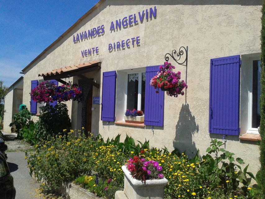 From Marseille: Valensole Lavenders Tour from Cruise Port - A second field stop before the return drive