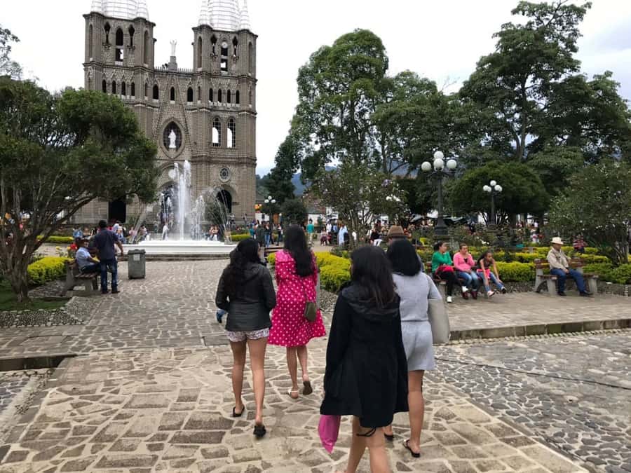 From Medellin: Day Trip to a Jardin Coffee Plantation - Buying coffee and souvenirs without guesswork