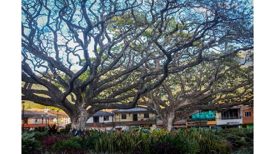 From Medellín: Jardín, Andes, and Hispania Day Trip - Why this route is worth the long ride
