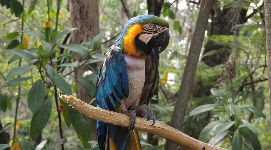 From Medellín: Jardín Private 2-Day Tour with Activities - Key points to know before booking