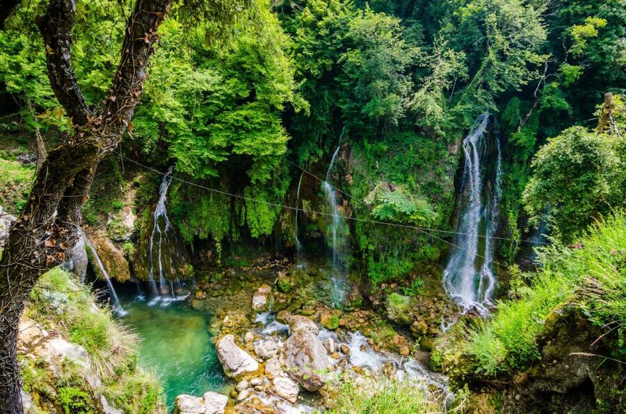 From Nice: Flower Fields & Saint Cassien Lake Full-Day Trip - A full day beyond Nice