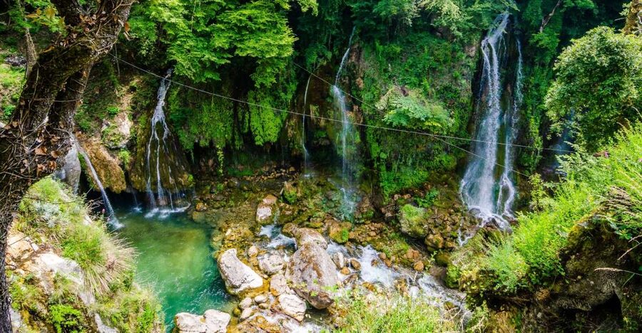 From Nice: Flower Fields & Saint Cassien Lake Full-Day Trip - Who should book this outing