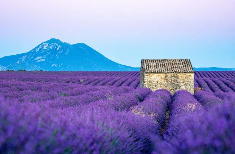 From Nice: Verdon Gorges & Lavender Fields Tour & Transport - Key points to know before booking