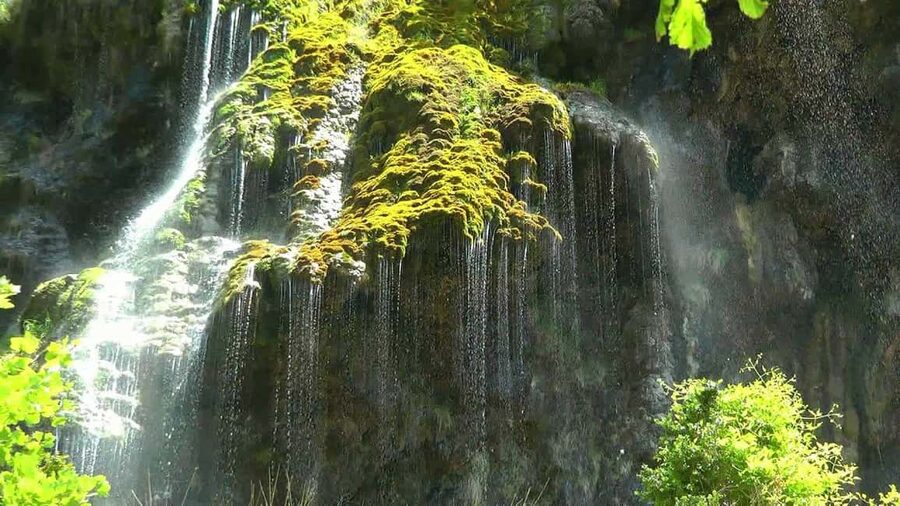 From Nice: Verdon Gorges & Lavender Fields Tour & Transport - Comfort, accessibility, and group size