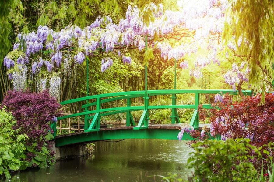 From Paris: Giverny and Versailles Palace Guided Day Trip - Which kind of visitor gets the most from it