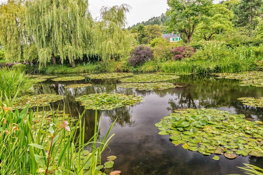 From Paris: Guided Day Trip to Monet's Garden in Giverny - Why Giverny is worth leaving Paris for