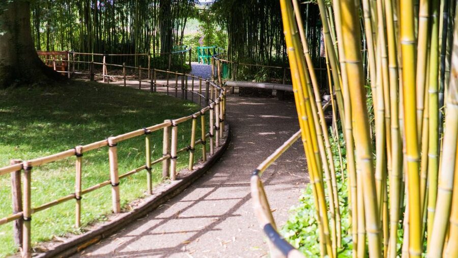 From Paris: Versailles and Giverny Full-Day Trip - Versailles Palace: grandeur, crowds, and a self-guided interior