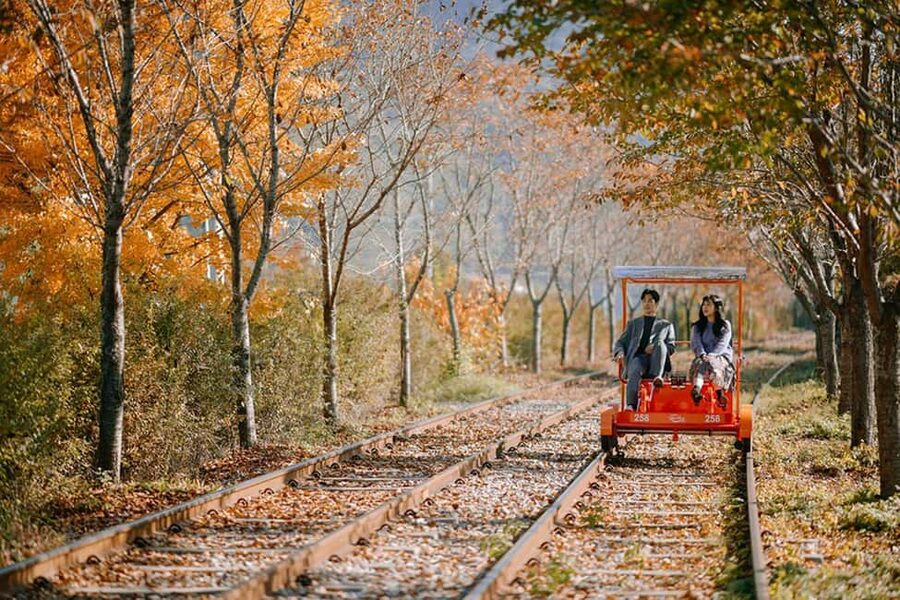 From Seoul: Nami Island, K-drama Garden & Rail Bike Day Tour - Key points to know before booking