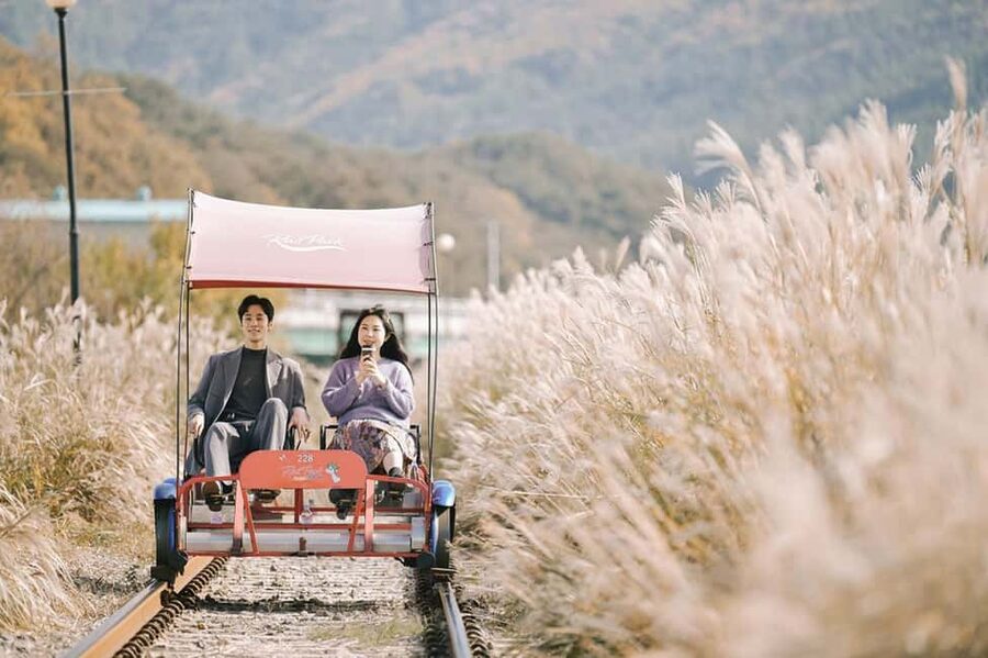 From Seoul: Nami Island, K-drama Garden & Rail Bike Day Tour - Lunch and the practical middle of the day