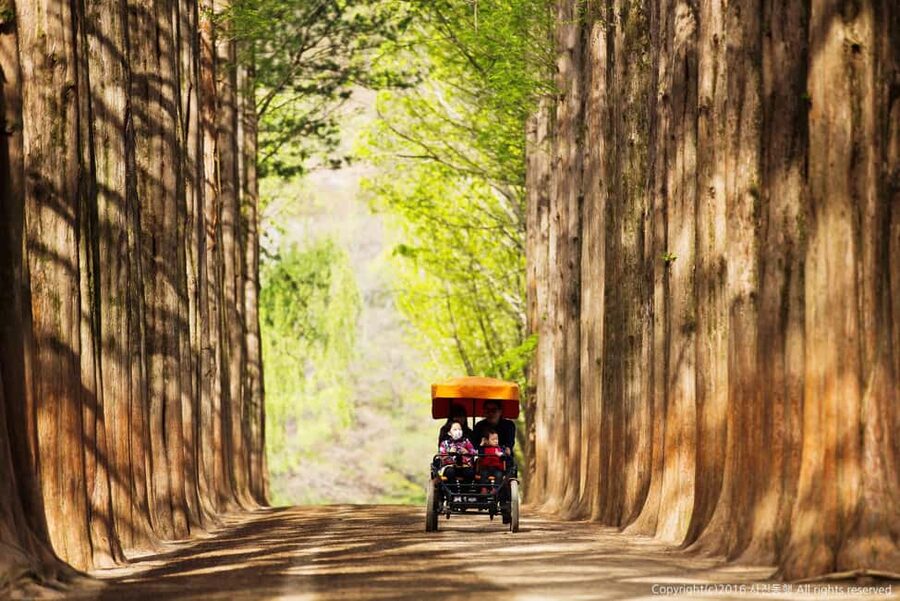 From Seoul: Nami Island, K-drama Garden & Rail Bike Day Tour - Gangchon Rail Bike beside the North Han River