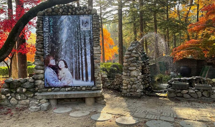 From Seoul: Nami Island, K-drama Garden & Rail Bike Day Tour - A guide can make the long day easier