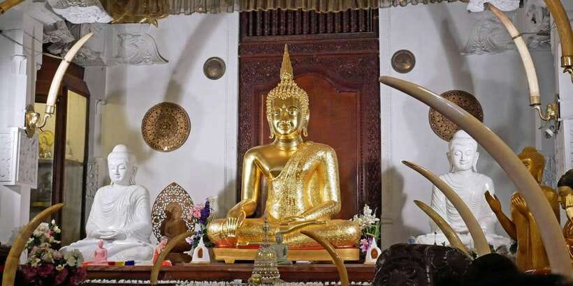 From Sigiriya: Kandy Transfer with Dambulla and Spice Garden - A fragrant stop at the herbal spice garden