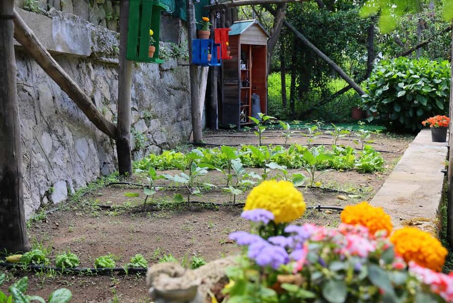 From Sorrento to Meta: cook with a local family and enjoy the garden!! - At a glance