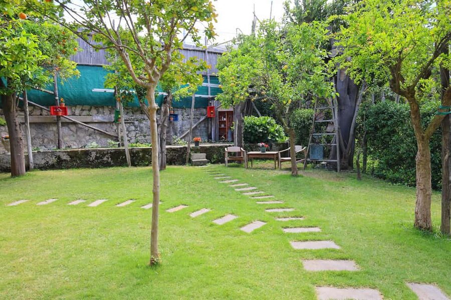 From Sorrento to Meta: cook with a local family and enjoy the garden!! - A Sorrento cooking class with a family feel