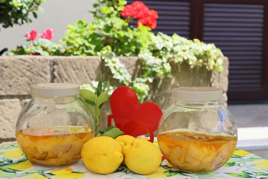 From Sorrento to Meta: cook with a local family and enjoy the garden!! - A hands-on class, not a show from the sidelines