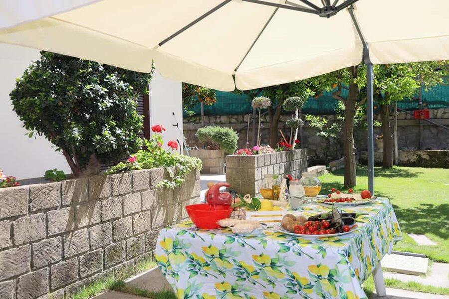 From Sorrento to Meta: cook with a local family and enjoy the garden!! - Welcome prosecco and a garden full of citrus scent