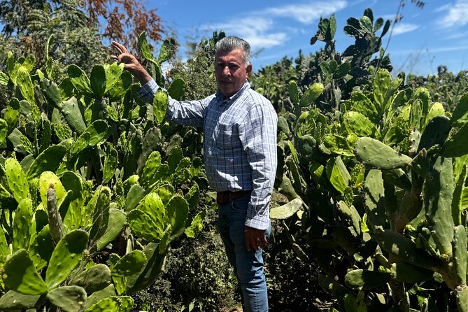 Fruit Garden and Mezcal Tasting Tour with Lunch Included - A Ranch Visit Beyond Mazatlan’s City Streets