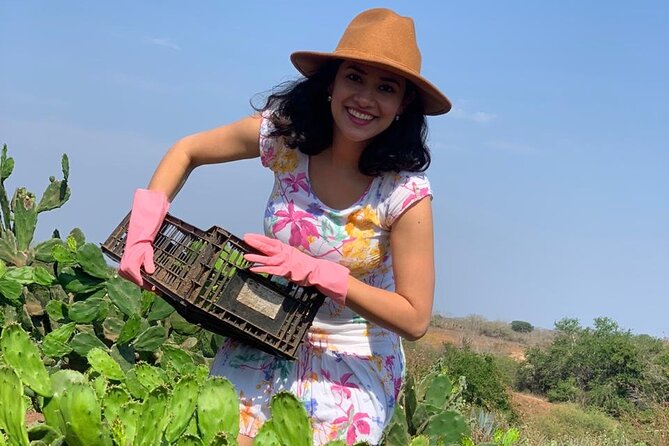 Fruit Garden and Mezcal Tasting Tour with Lunch Included - A Ranch Lunch With Plenty on the Plate
