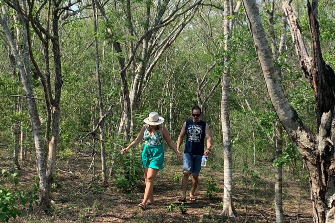 Fruit Garden and Mezcal Tasting Tour with Lunch Included - Is $55 a Fair Price?