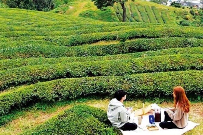 Full-day Hadong, Gwangyang, Cherry blossom, Green Tea Fields Private Tour - Plum flowers and the Hong Ssang Ri farm