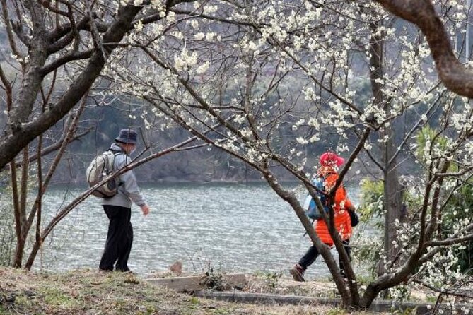 Full-day Hadong, Gwangyang, Cherry blossom, Green Tea Fields Private Tour - Hwagae Market, a useful 40-minute pause