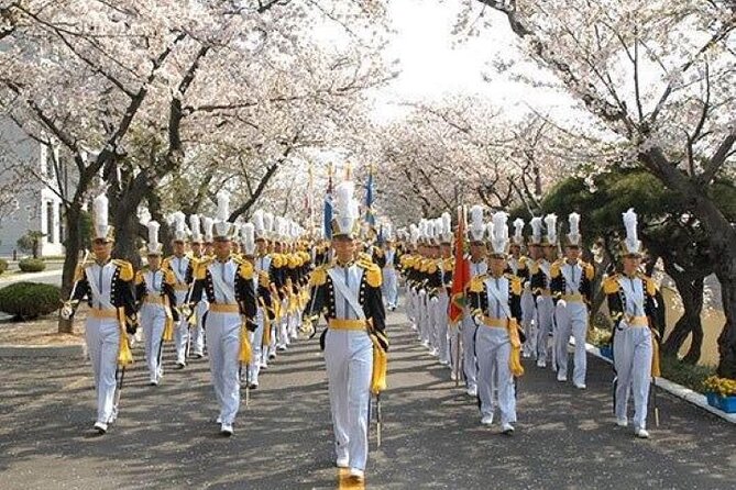 Full-Day Jinhae Cherry Blossom festival Private tour - Anmingogae Pass for a longer flower-lined view