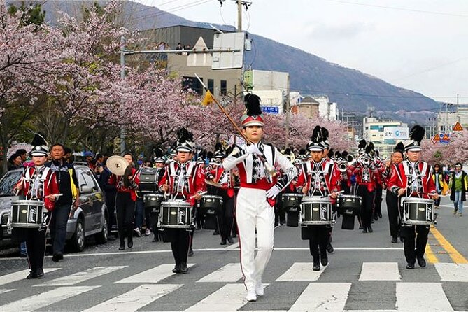 Full-Day Jinhae Cherry Blossom festival Private tour - Jangboksan Sculpture Park and the final view