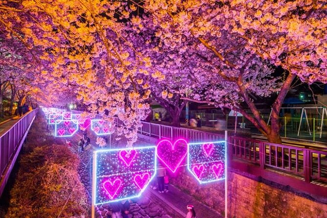 Full-Day Jinhae Cherry Blossom festival Private tour - Gyeonghwa Station and its famous photo road