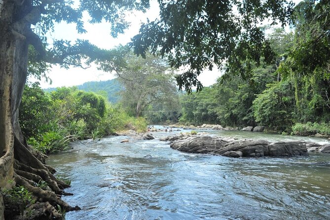 Full day Kandy walking tour with TUK TUK ride to Peradeniya gardens - Arthur’s Seat for Kandy’s best city view