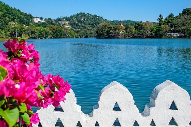 Full day Kandy walking tour with TUK TUK ride to Peradeniya gardens - One hour among 4,000 plant species