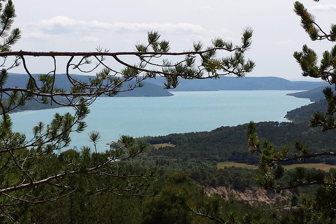 Full day lavender tour Luberon and Sault - A full day through Provence’s lavender country