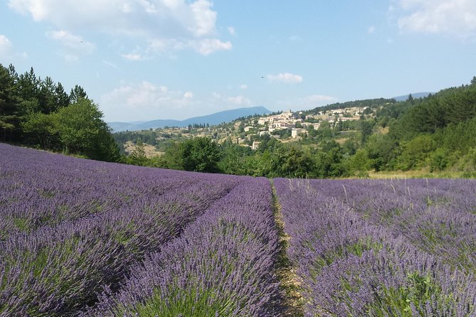 Full day lavender tour Luberon and Sault - Gordes gives you the first big view