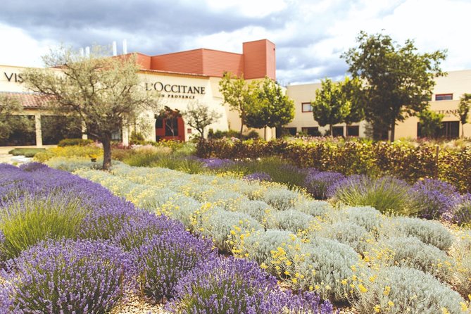 Full Day Ocean of Lavender in Valensole from Avignon - Moustiers-Sainte-Marie brings stone, pottery, and cliffs